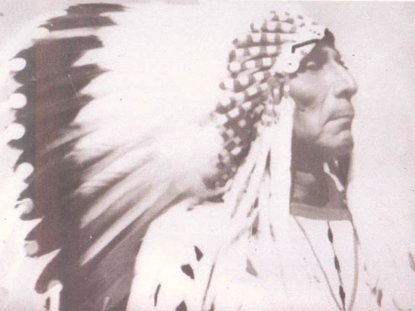 Bear Clan Chief